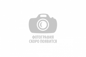 КРУЖОК ЖИВОПИСИ